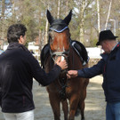 DSCN3221_JPG-1366238044