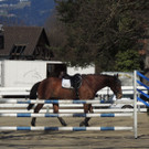 DSCN3217_JPG-1366238031