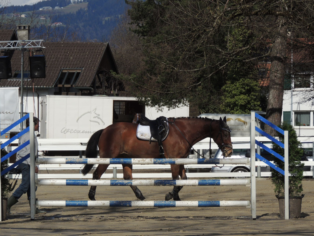 DSCN3217_JPG-1366238031