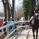 DSCN3231_JPG-1366238069