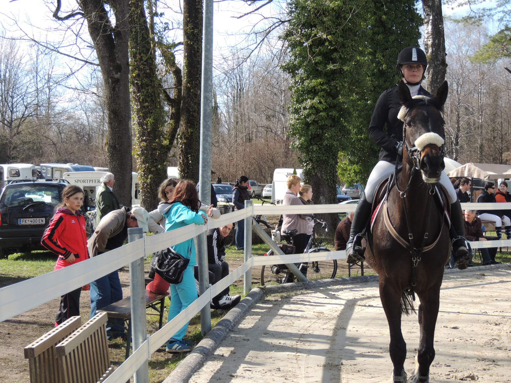 DSCN3231_JPG-1366238069