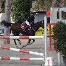 DSCN3227_JPG-1366238053