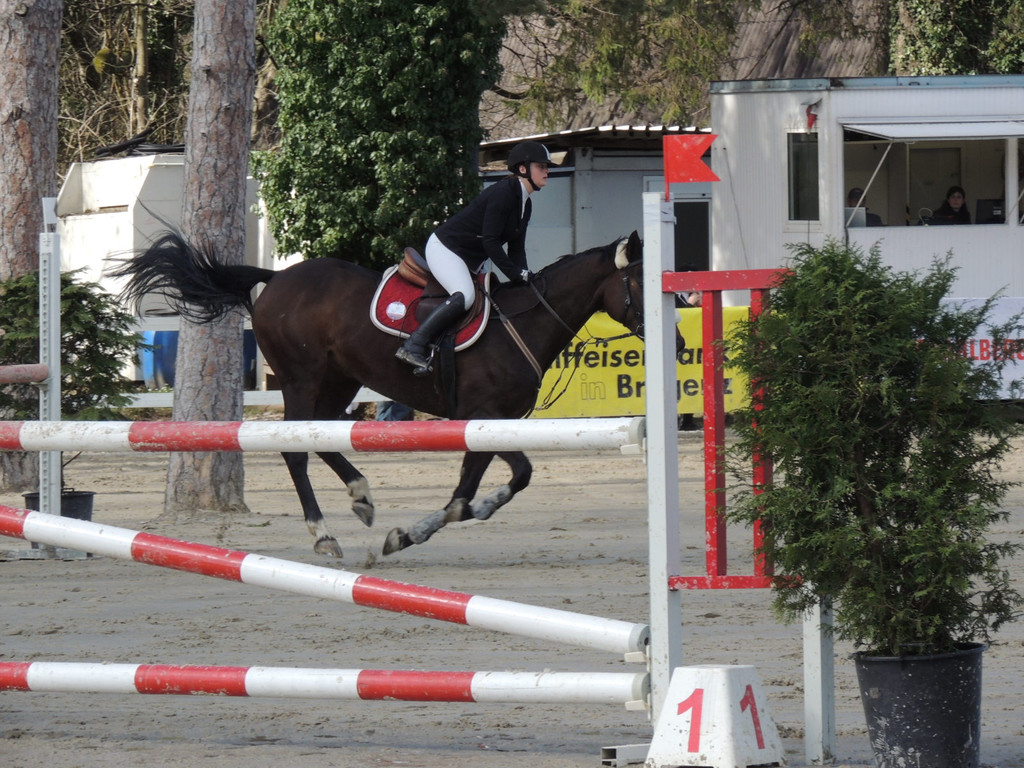 DSCN3227_JPG-1366238053