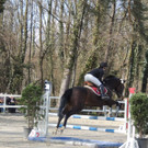 DSCN3229_JPG-1366238061