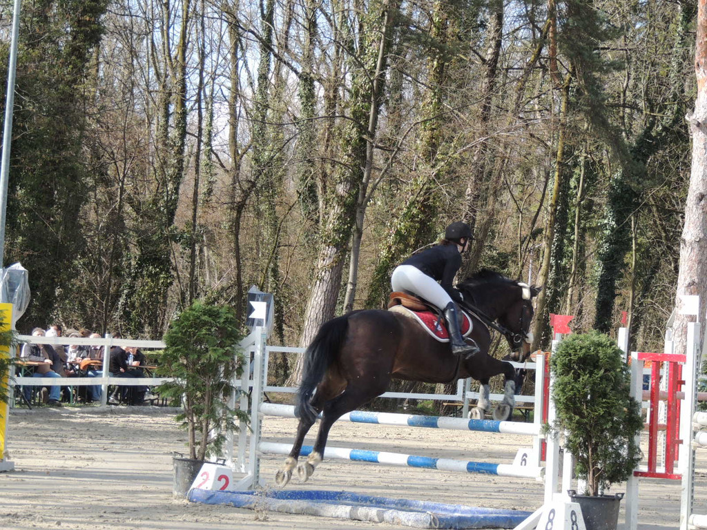 DSCN3229_JPG-1366238061