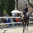 DSCN3230_JPG-1366238065