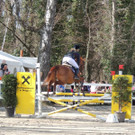 DSCN3232_JPG-1366238073