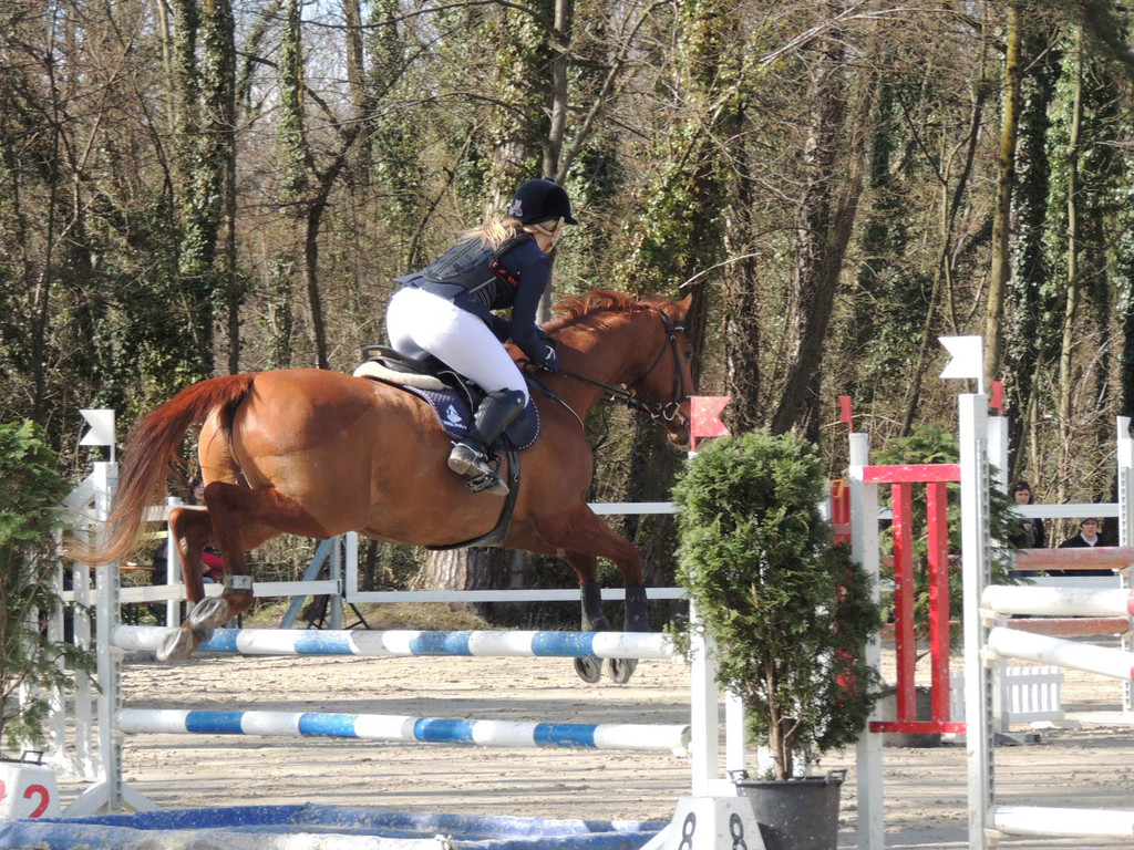 DSCN3236_JPG-1366238086