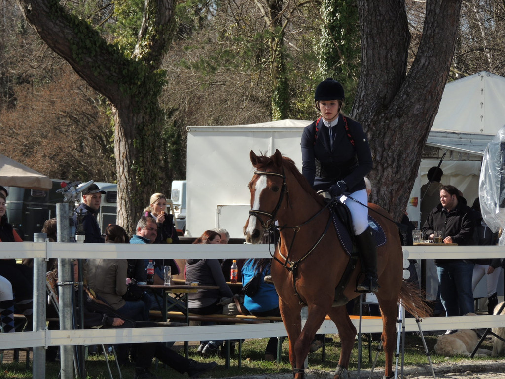 DSCN3239_JPG-1366238090