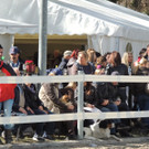 DSCN3240_JPG-1366238094