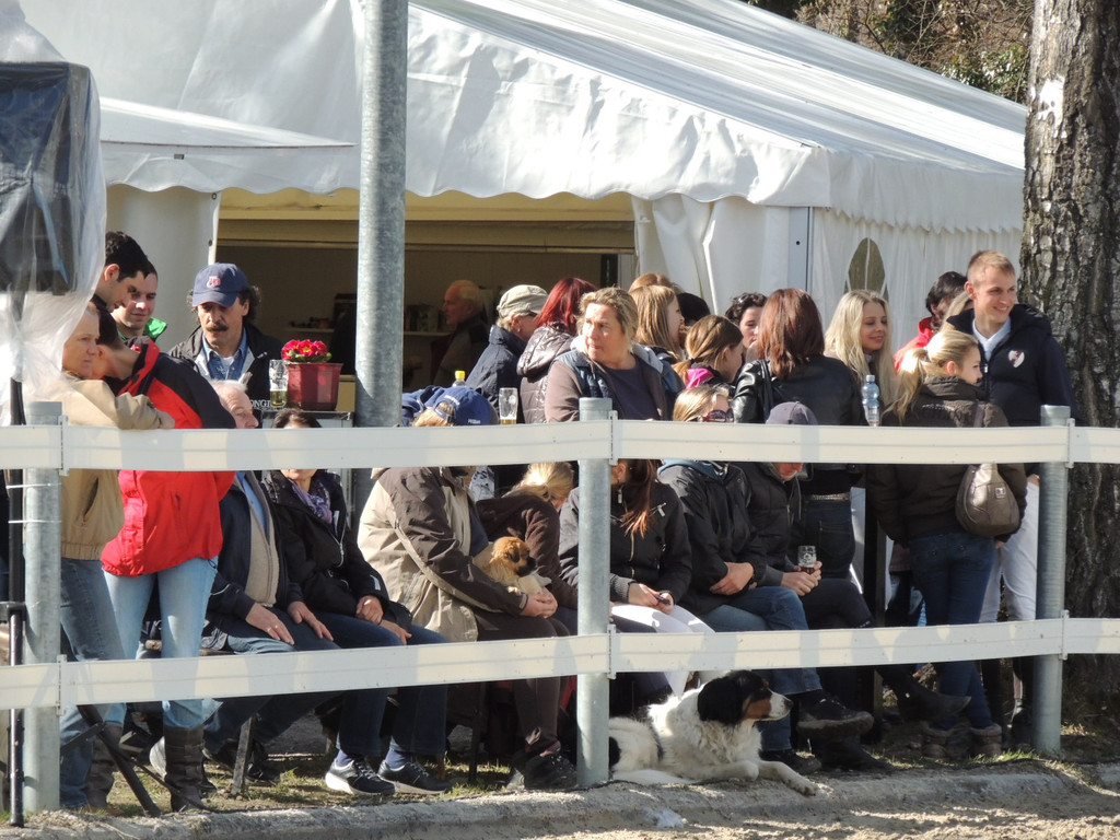 DSCN3240_JPG-1366238094