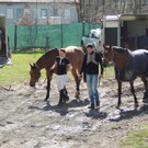 DSCN3242_JPG-1366238102