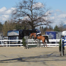 DSCN3243_JPG-1366238106