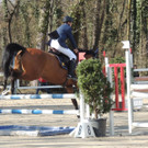 DSCN3246_JPG-1366238115