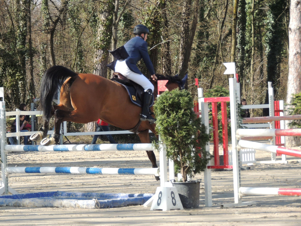 DSCN3246_JPG-1366238115