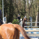 DSCN3247_JPG-1366238119