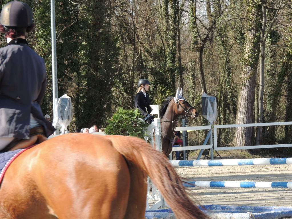 DSCN3247_JPG-1366238119