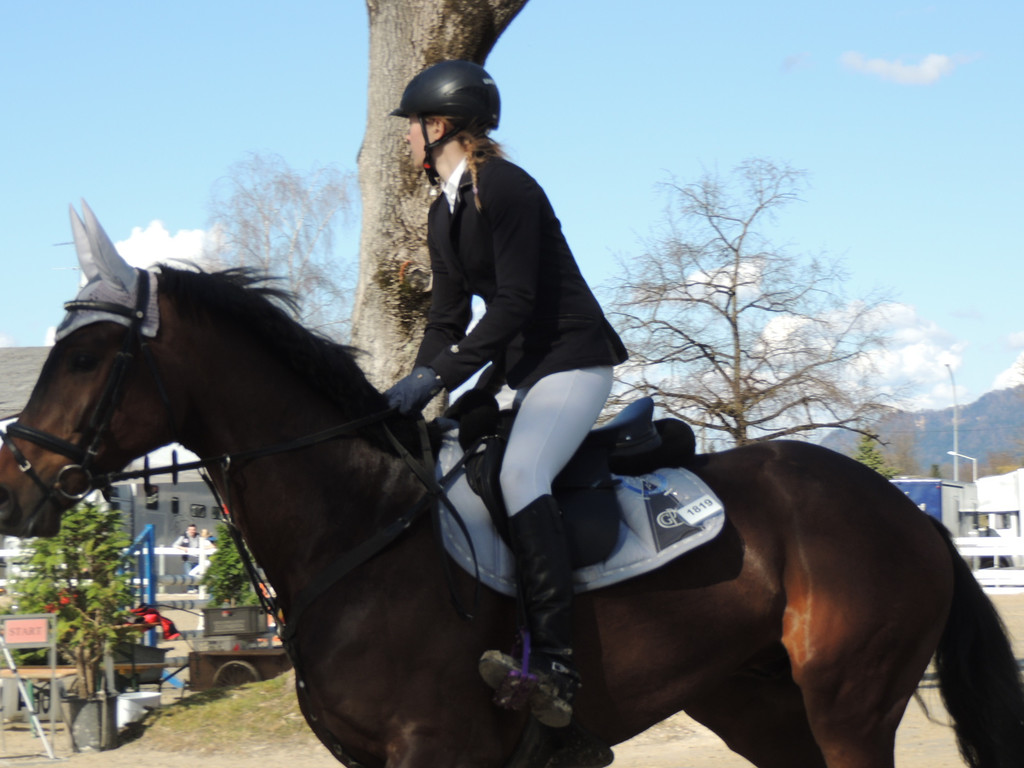 DSCN3252_JPG-1366238127