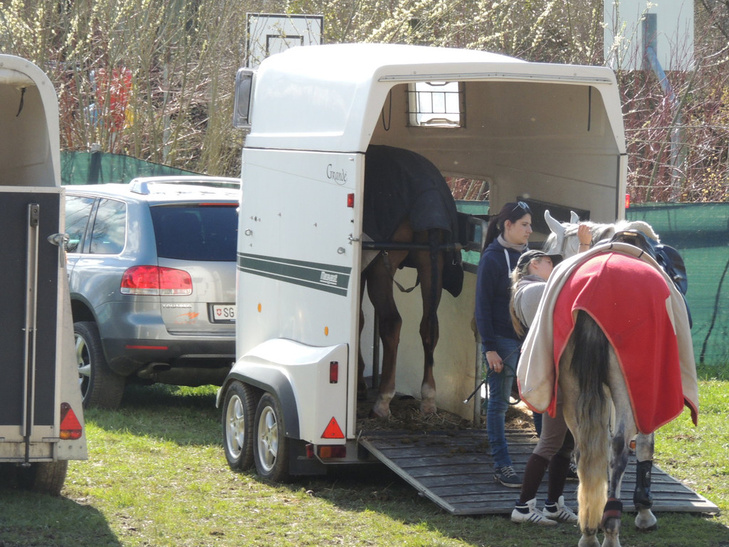 DSCN3257_JPG-1366238140