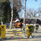 DSCN3258_JPG-1366238144