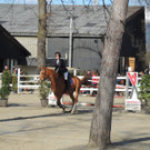 DSCN3259_JPG-1366238148