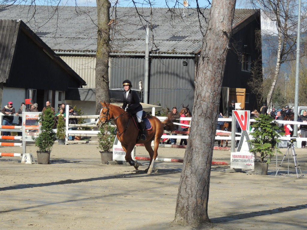 DSCN3259_JPG-1366238148