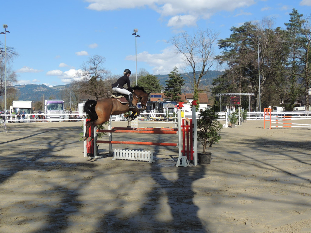 DSCN3268_JPG-1366238156