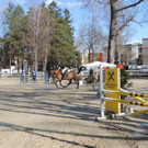 DSCN3270_JPG-1366238160