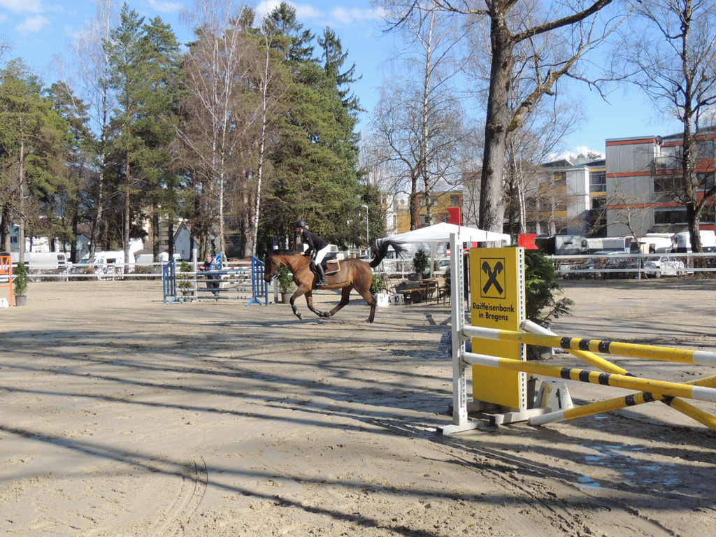 DSCN3270_JPG-1366238160