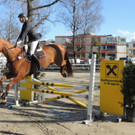 DSCN3272_JPG-1366238168