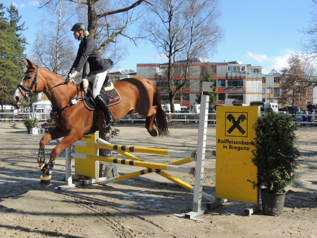 DSCN3272_JPG-1366238168