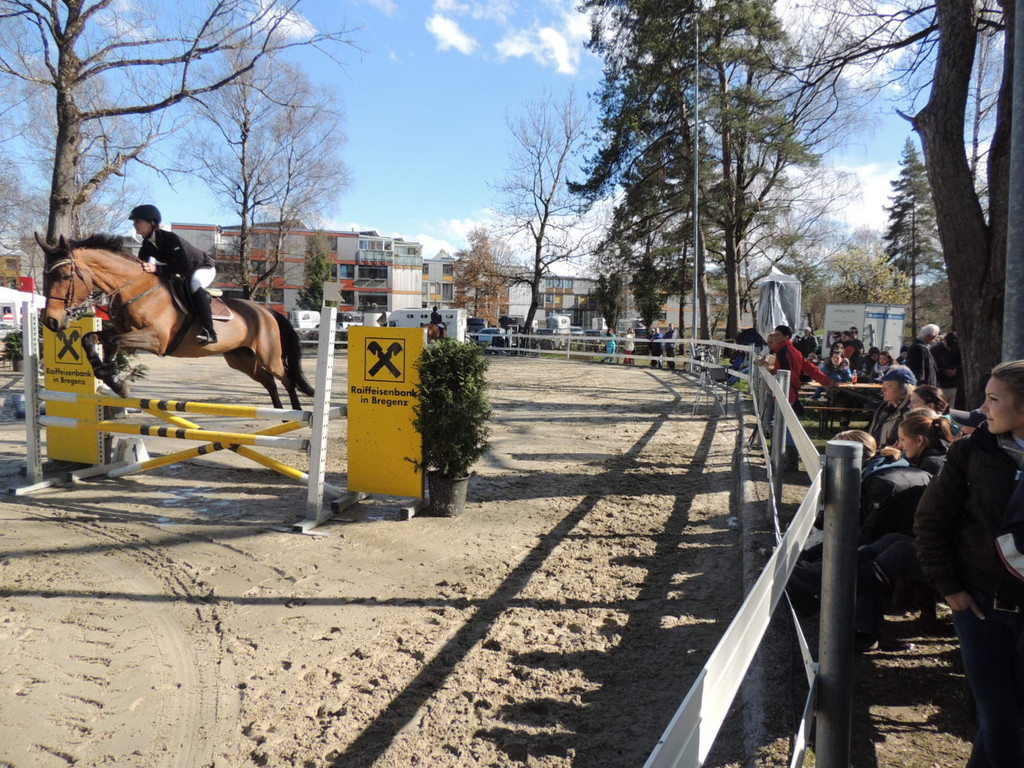 DSCN3264_JPG-1366238227