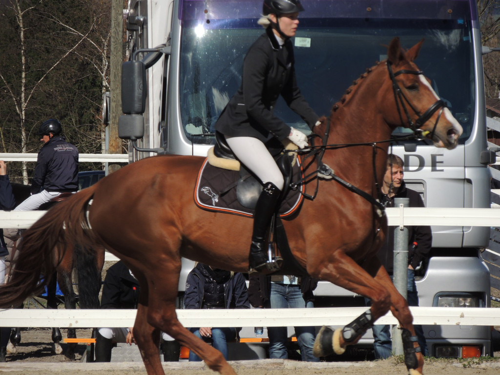 DSCN3274_JPG-1366238177