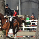 DSCN3276_JPG-1366238185