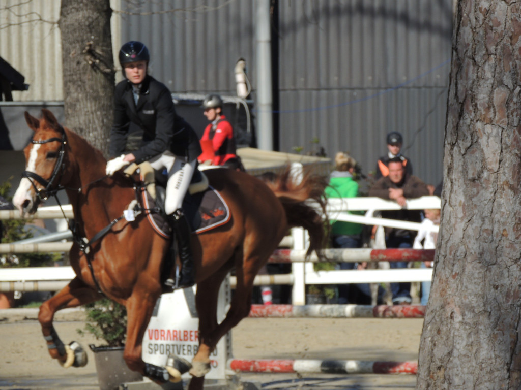 DSCN3276_JPG-1366238185