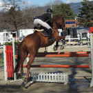 DSCN3277_JPG-1366238189