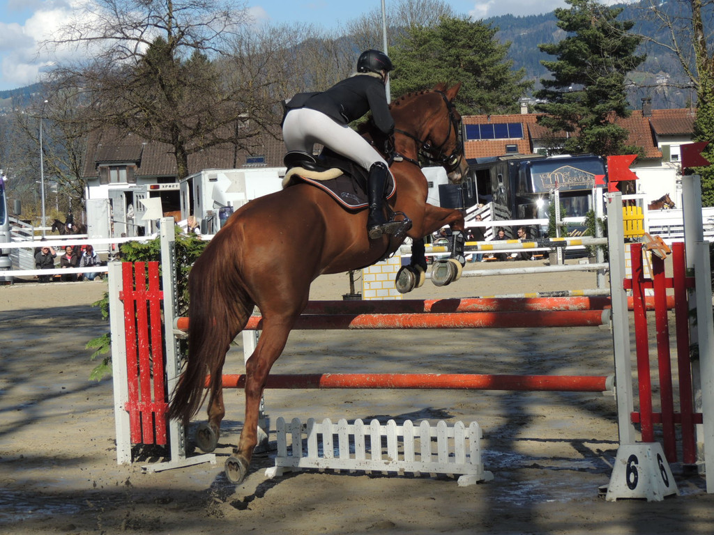 DSCN3277_JPG-1366238189