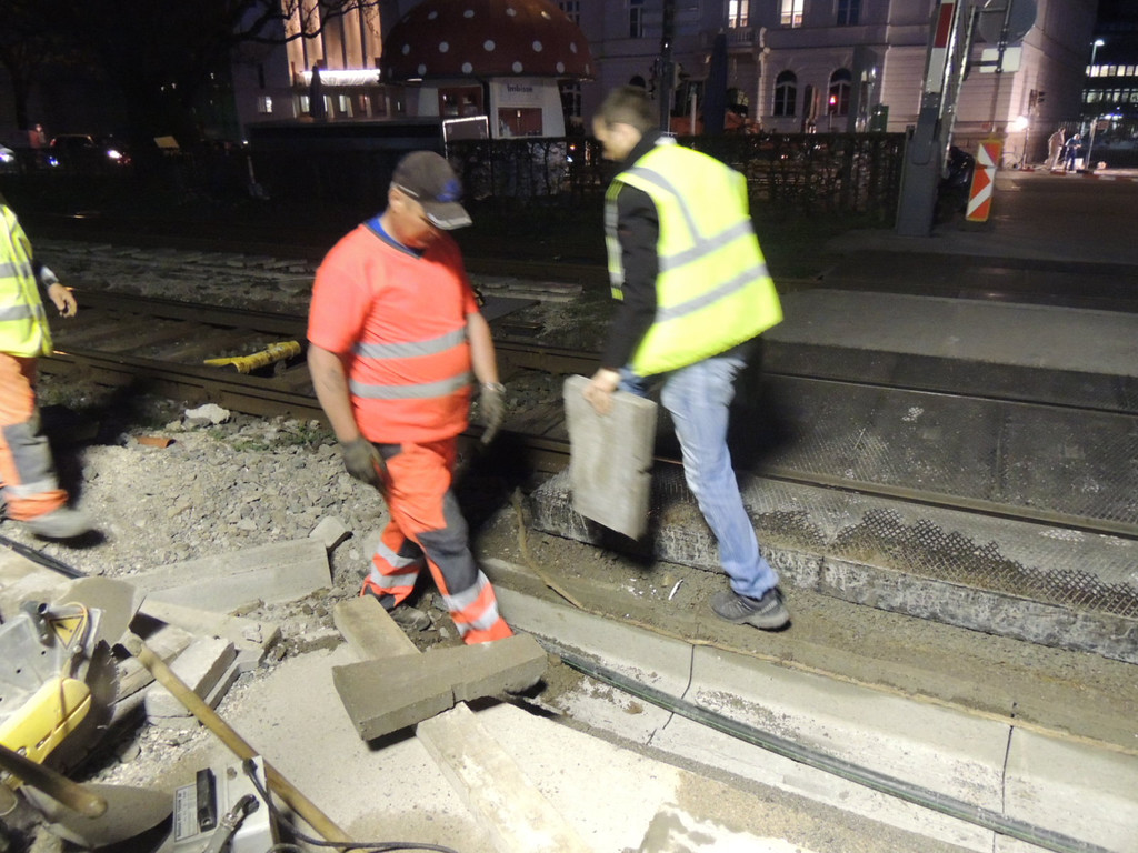 DSCN5081_JPG-1366239865