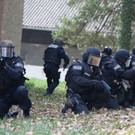 EKOCobra1704201311.jpg