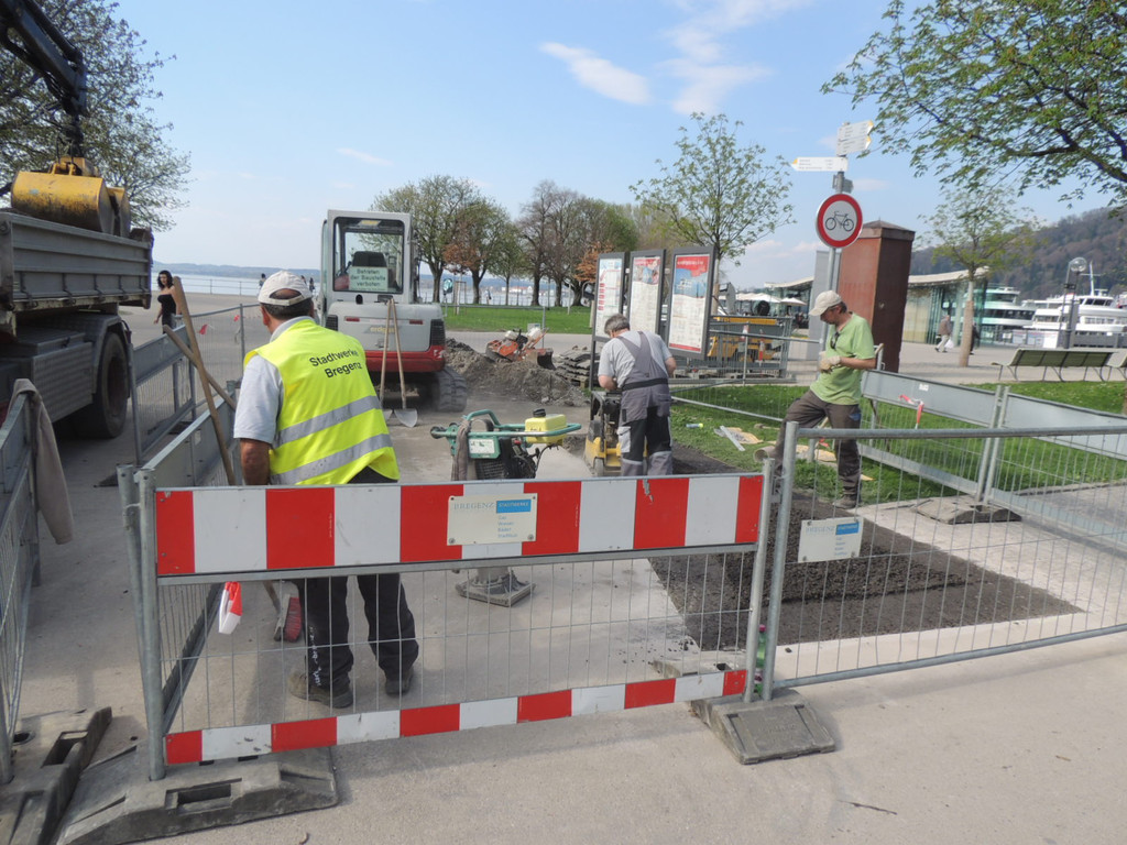 DSCN5140_JPG-1366324453