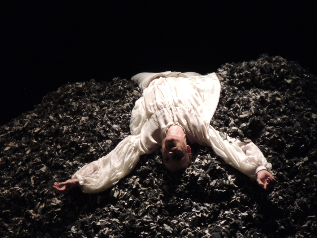 DSCN8126_JPG-1366324738