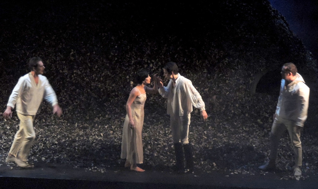 DSCN8137_JPG-1366324760