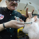 Rasur mit Wellness-Effekt: Ein Besuch beim Barbier