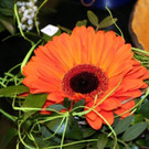 IMG_7993.JPG
