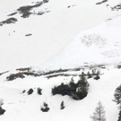 190413lawineat04001aktivnews039.JPG