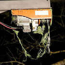 normal_18042013fmt_brandboot_pm_1.JPG