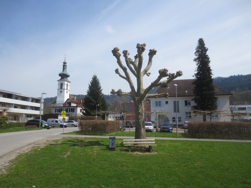 Baumschnittaktion Wi-hof 2013 _5__jpg-1366450130