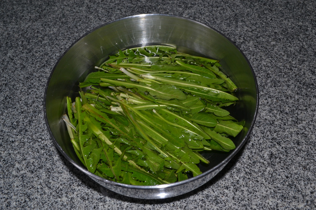 02 Wasche L__wenzahnbl__tter_ Feldsalat und Apfel.JPG