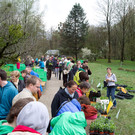 normal_20042013fmt_jungpflanzenmarkt_mw-13.jpg