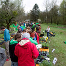 normal_20042013fmt_jungpflanzenmarkt_mw-14.jpg